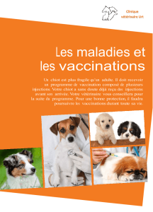 Maladies et vaccination du chien