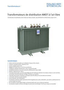 Transformateurs de distribution AMDT à l`air libre