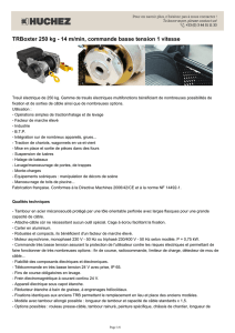 TRBoxter 250 kg - 14 m/min, commande basse tension 1 vitesse