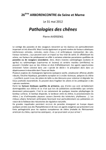 Pathologies des chênes - Arbres