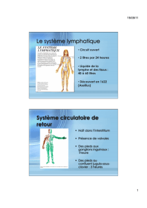 le système lymphatique