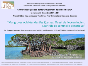 Mangroves oubliées des îles Éparses, Ouest de l`océan