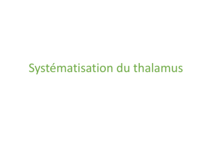 Systématisation du thalamus - facmed-univ-oran