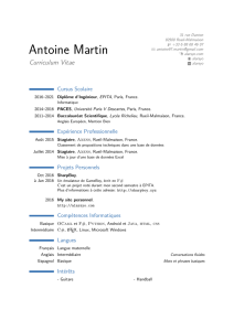 CV - Antoine Martin