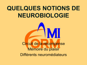 QUELQUES NOTIONS DE NEUROBIOLOGIE