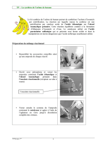 la synthese de l`arome de banane le kit synthese de l`arome
