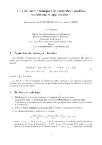 TP 2 du cours “Transport de particules : modèles, simulation, et