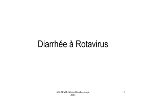 Diarrhée à Rotavirus