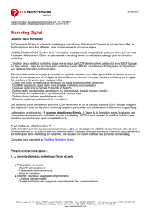 Marketing Digital - CCM Benchmark Group