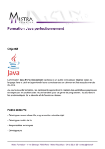 Formation Java perfectionnement - Mistra