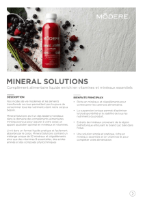 mineral solutions