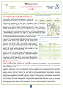 Influenza aviaire hautement pathogène (H5N1) en Libye OIE : 03