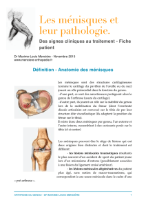 pathologie des menisques - Orthopedie Amiens Docteur Menciere