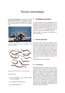 Parasite entomophage - doc-developpement