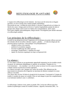 reflexologie plantaire - E
