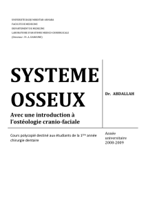 SYSTEME OSSEUX