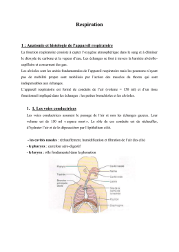 Corrigé Des Exercices Sur « L`appareil Respiratoire» Exercice 1 A