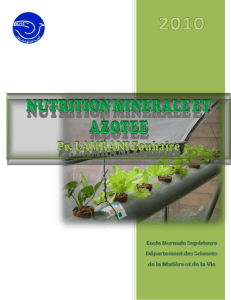 NUTRITION MINERALE ET AZOTEE