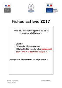 CNDS 2017 - Plan d`actions Fiche Actions
