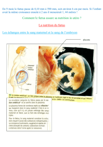 cours_inverse_echanges_placentaires-2 ( DOC