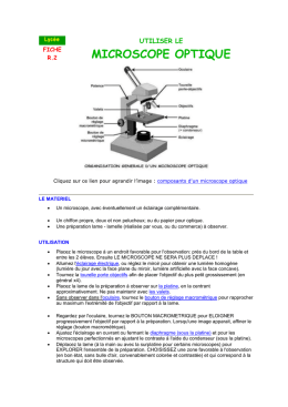 Fiche N Le Microscope Optique Svt