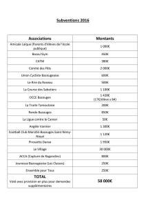 Subventions 2016 Associations Montants