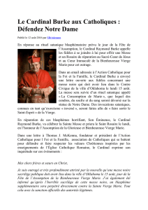 Cardinal Burke aux Catholiques 15 août 2016