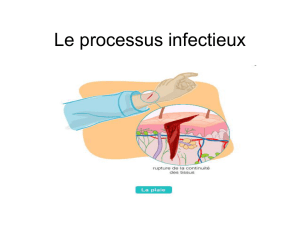 Le processus infectieux