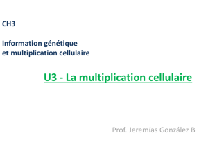 CH3 Information génétique et multiplication cellulaire U3