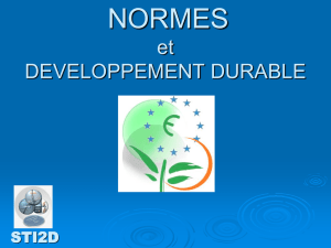 STI2D NORMES et Développement Durable