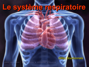 Cours n°6: respiration