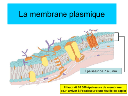 Membrane Plasmique l Homéostasie et le Transport Cellulaire