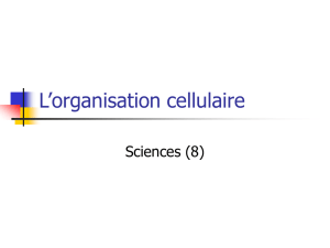 L`organisation cellulaire