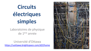 Circuits électriques simples