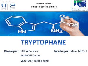 Tryptophane 2