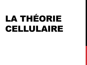 Notes- La théorie cellulaire