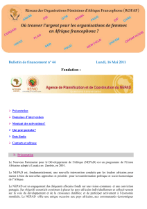 Réseau des Organisations Féminines d`Afrique Francophone (ROFAF)