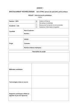 La Fiche Synthétique Au Format Word