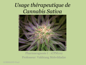 Usage thérapeutique de Cannabis Sativa