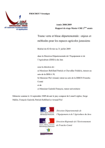 Télécharger le rapport Veronique Frochot 2008/2009