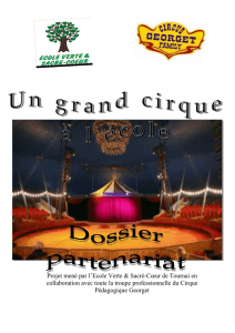 Projet cirque sponsoring (dernière version)