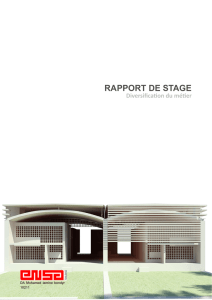 rapport de stage - LRA (Toulouse)