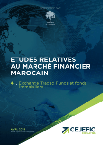 etudes relatives au marché financier marocain