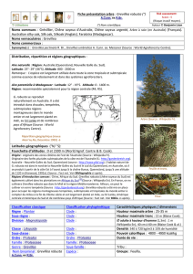 Fiche présentation arbre : Grevillea robusta - doc