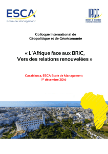 L`Afrique face aux BRIC, Vers des relations renouvelées