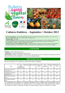 Cultures fruitières – Septembre / Octobre 2013