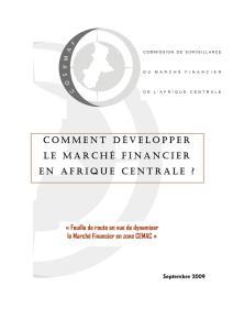 How to Develop Financial Market in CEMAC