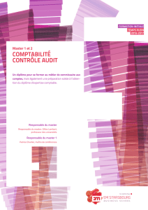 comptabilité contrôle audit