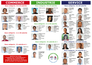 COMMERCE SERVICE INDUSTRIE