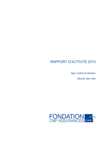 Rapport Activ FE 2013 vf